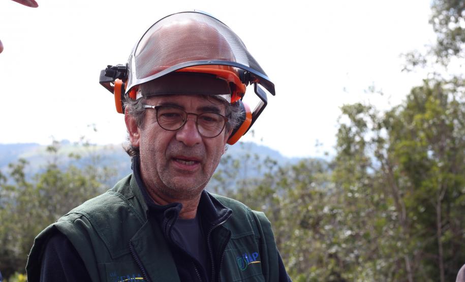 Com apoio de voluntários, IAT continua supressão de árvore invasora no Parque de Vila Velha