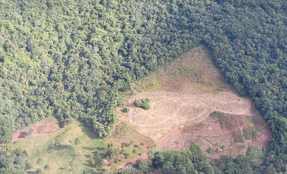 Foto aérea de área desmatada