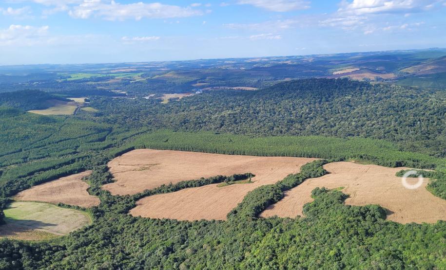 Foto aérea de área desmatada