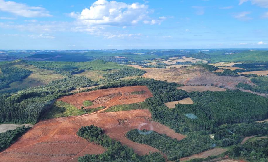 Foto aérea de área desmatada