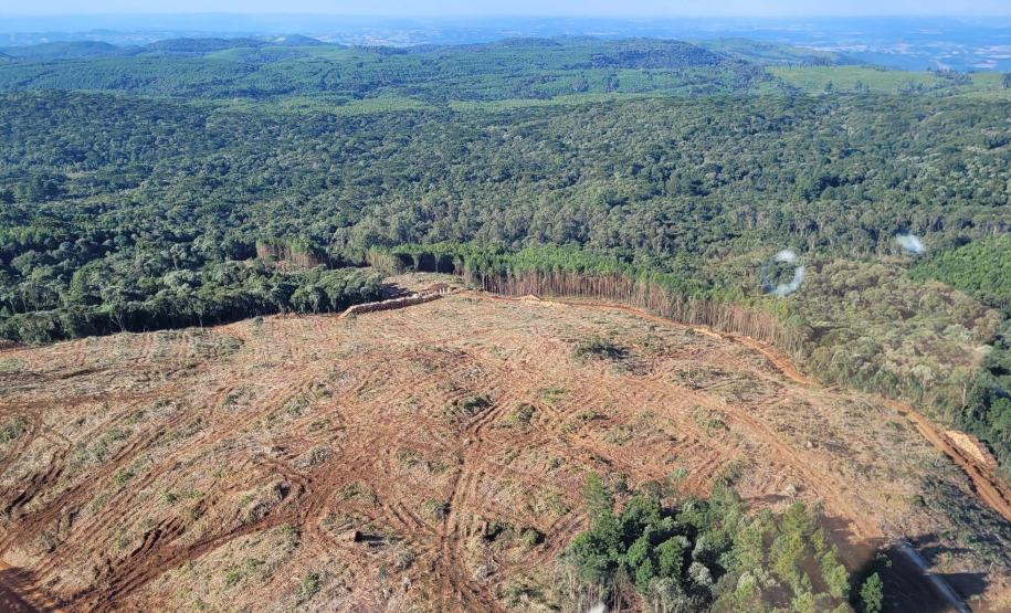 Foto aérea de área desmatada