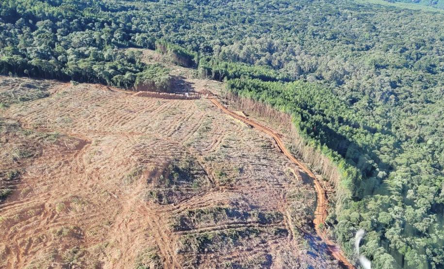 Foto aérea de área desmatada