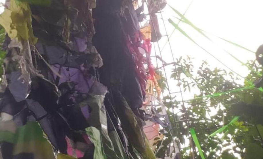 Foto de balão pendurado em árvore