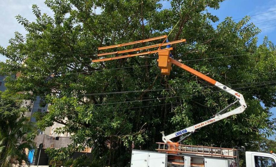 Operários em caminhão replantando grama