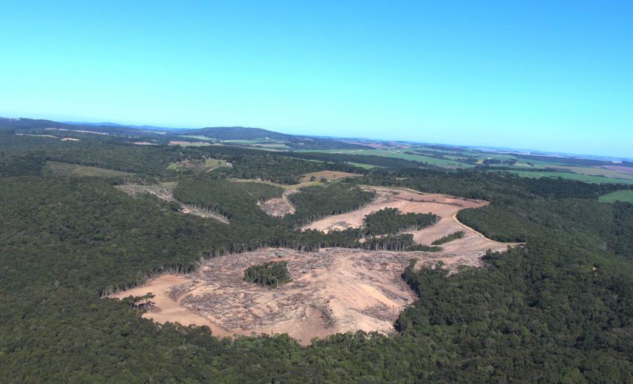 Imagem aérea desmatamento