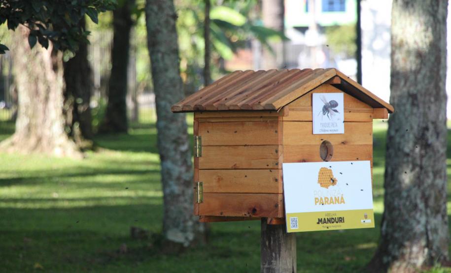 Foto de colmeia do Poliniza Paraná