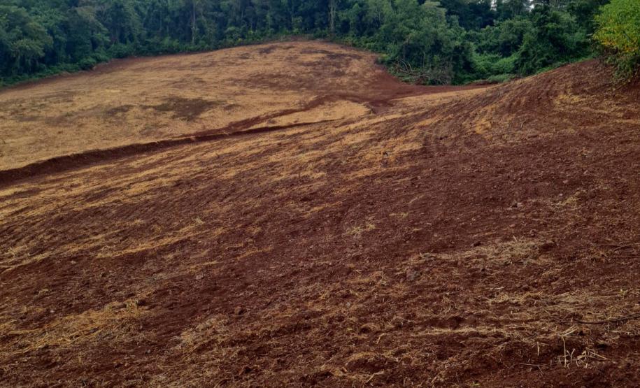 Foto de área desmatada