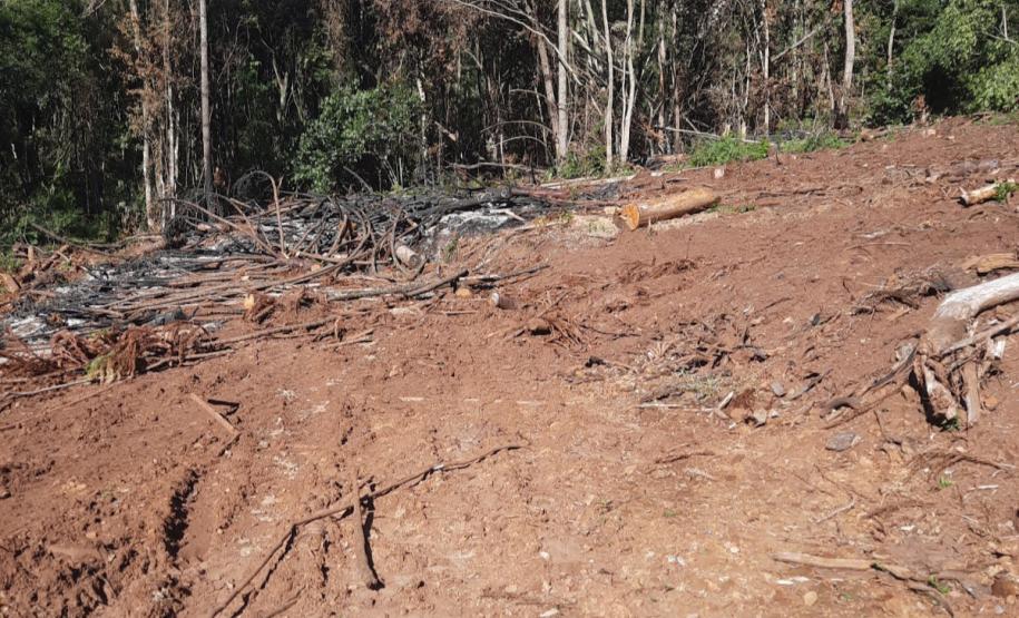 Foto de área desmatada
