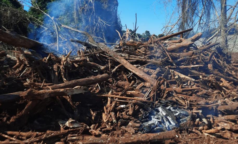 Foto de área desmatada