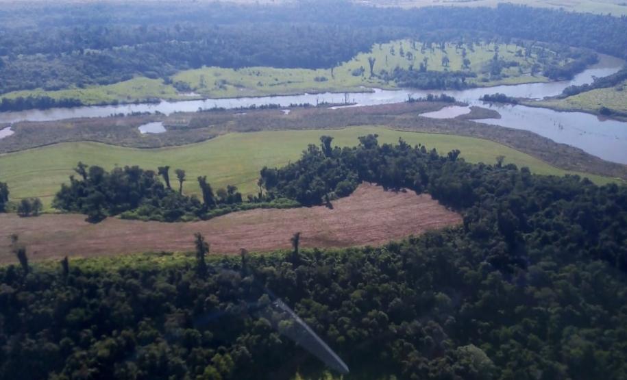 Foto de área desmatada