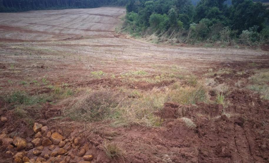 Foto de área desmatada