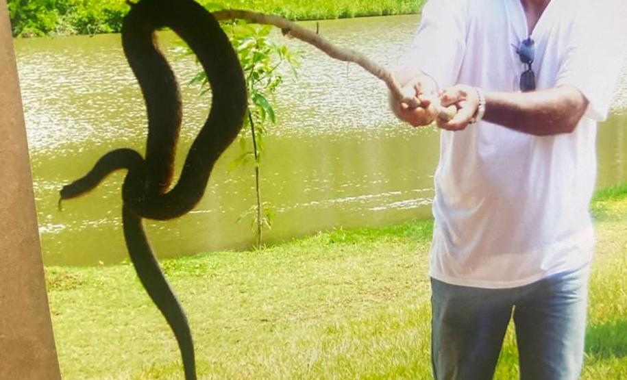 Foto de Norci Nodari segurando uma cobra com um graveto
