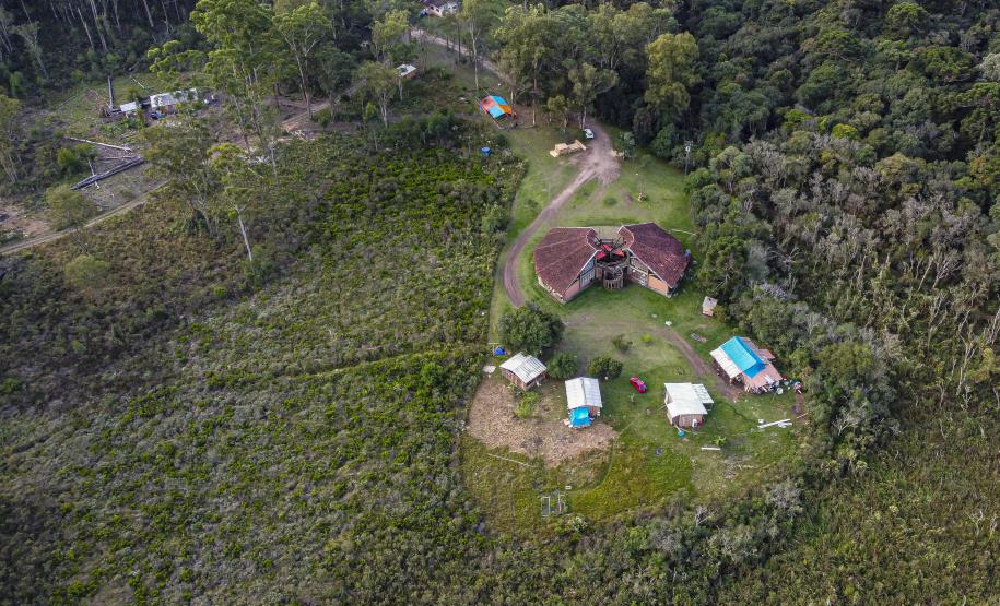 Foto aérea de floresta