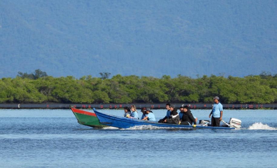 Foto de barco em lago