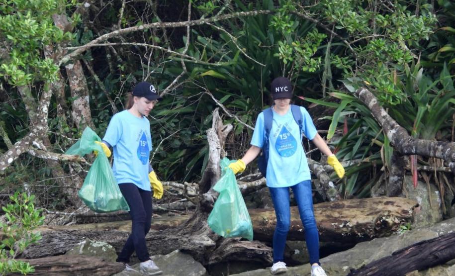 Voluntários limpando manguezal