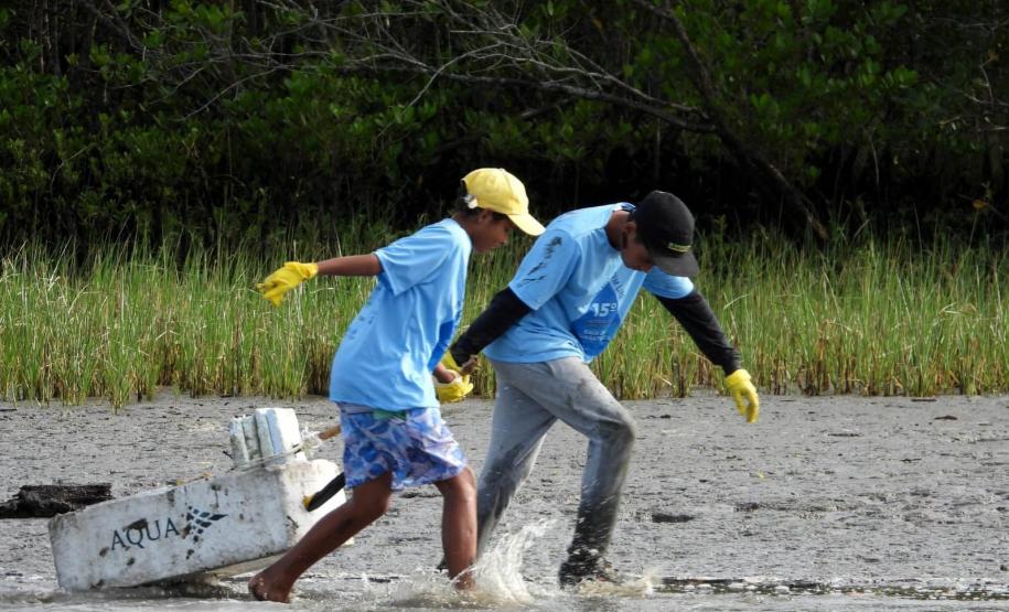 Voluntários limpando manguezal