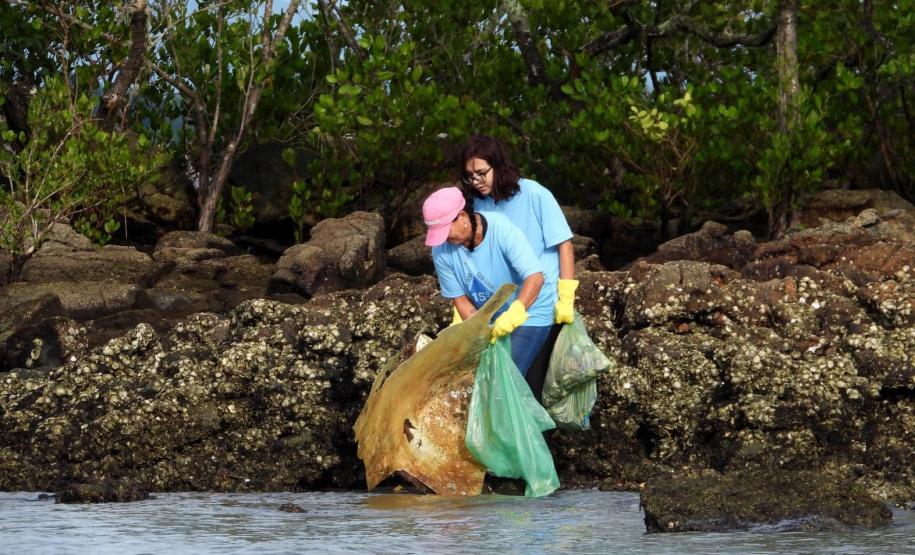 Voluntários limpando manguezal