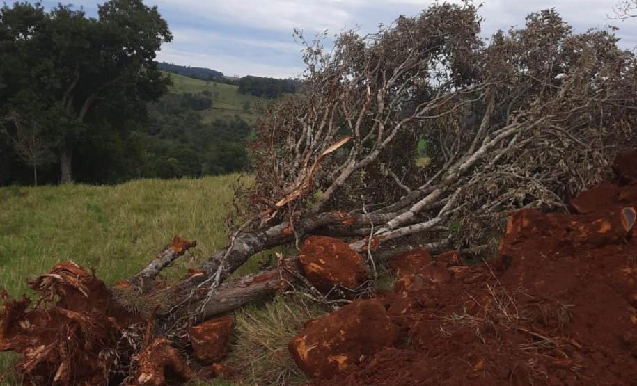Fiscais do Instituto Água e Terra (IAT) detectaram 245,42 hectares de vegetação nativa retirada ilegalmente e emitiram 167 Autos de Infração Ambiental no Sudoeste do Paraná
