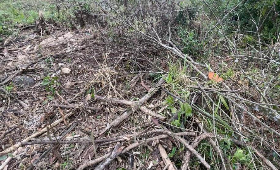 Fiscais do Instituto Água e Terra (IAT) detectaram 245,42 hectares de vegetação nativa retirada ilegalmente e emitiram 167 Autos de Infração Ambiental no Sudoeste do Paraná