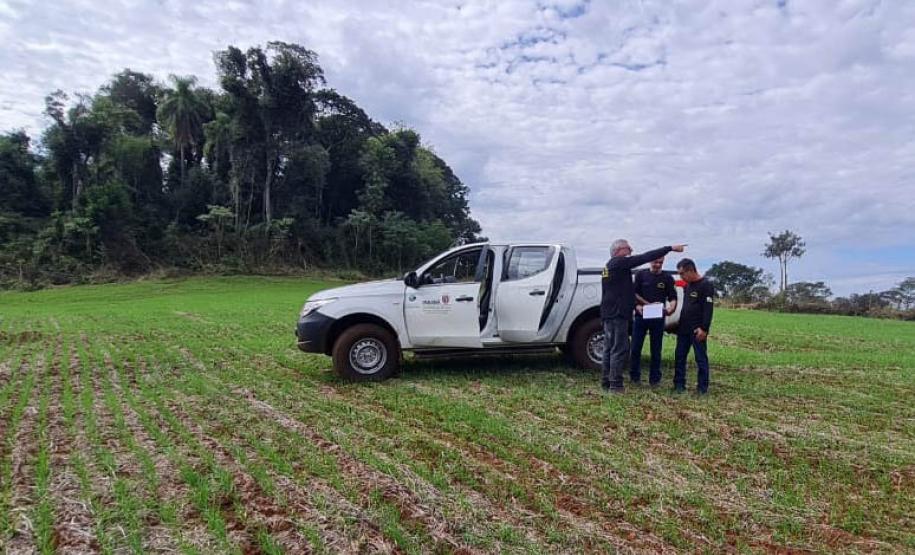 Fiscais do Instituto Água e Terra (IAT) detectaram 245,42 hectares de vegetação nativa retirada ilegalmente e emitiram 167 Autos de Infração Ambiental no Sudoeste do Paraná