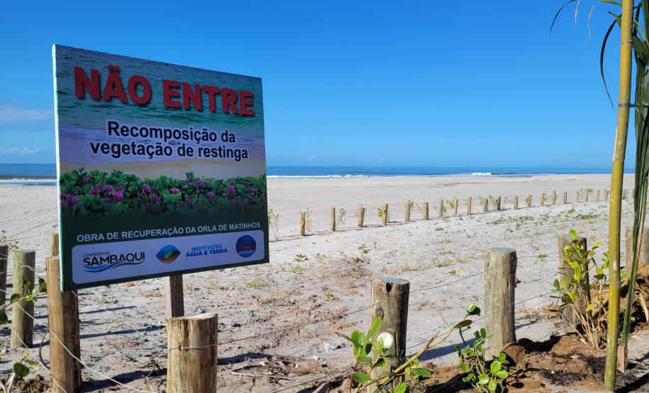 Foto de canteiro de replantio de restinga