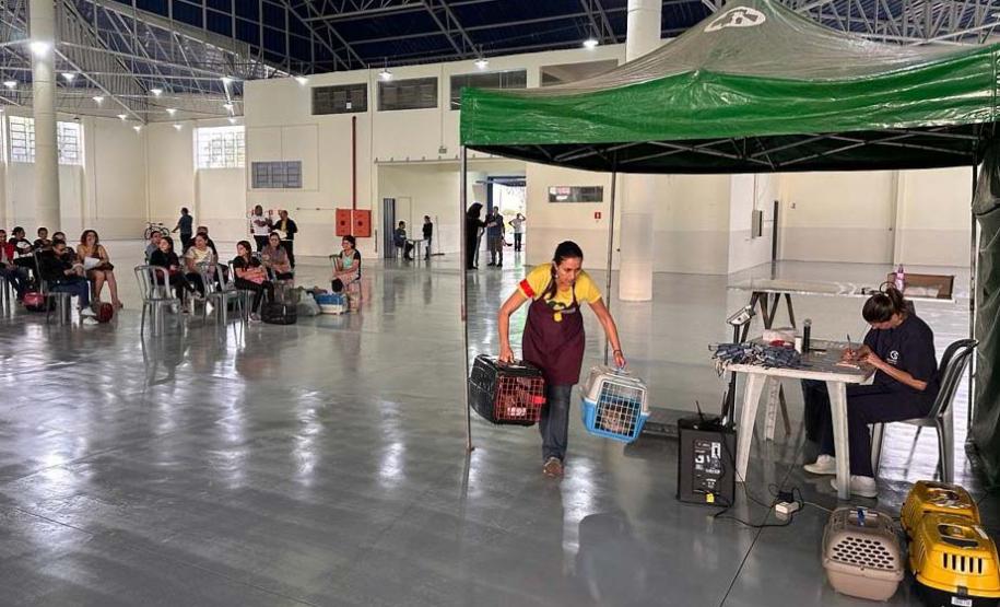 Com fim do terceiro ciclo, Castrapet Paraná chega a quase 70% dos municípios