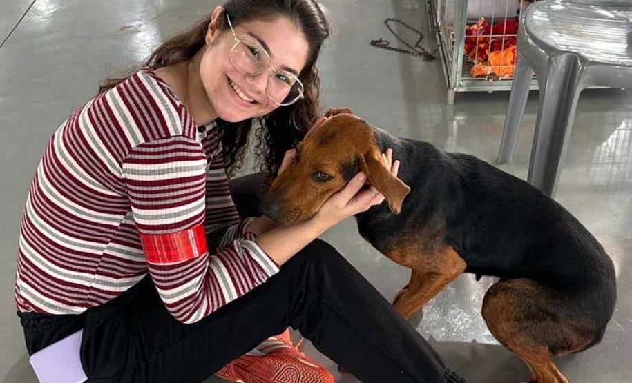 Com fim do terceiro ciclo, Castrapet Paraná chega a quase 70% dos municípios