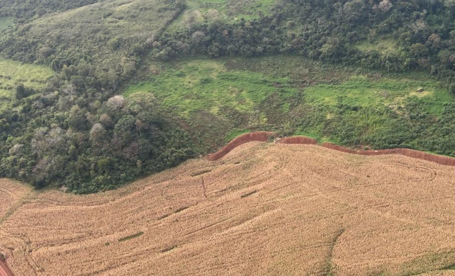 Operação do IAT identifica 17 hectares de desmatamento ilegal na região Oeste