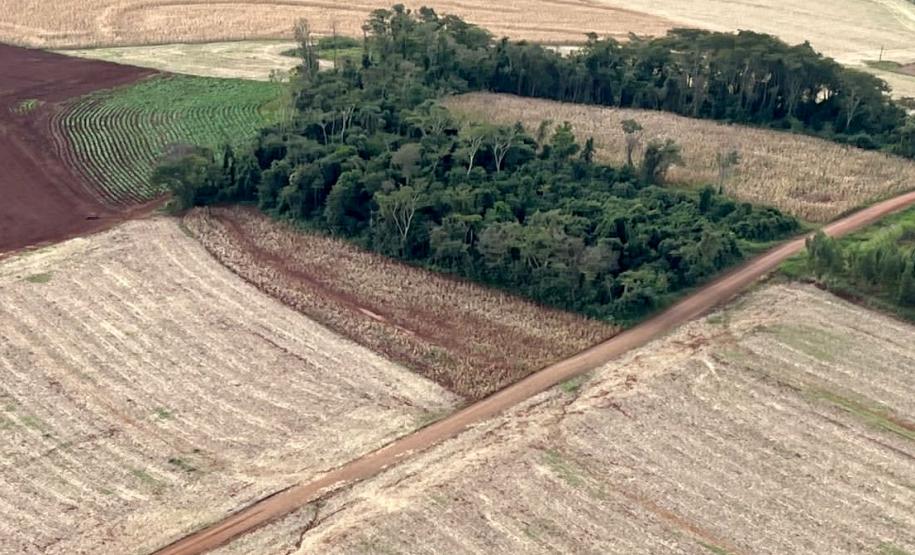 Operação do IAT identifica 17 hectares de desmatamento ilegal na região Oeste