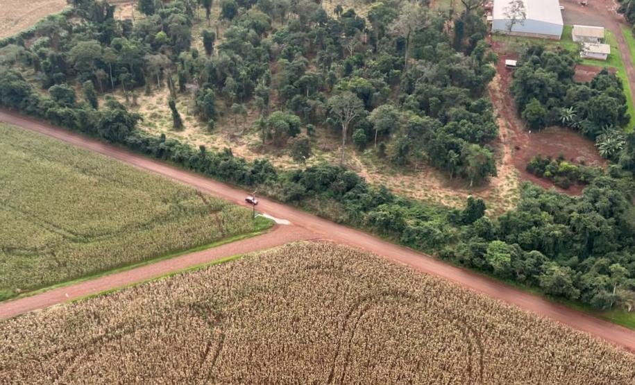 Operação do IAT identifica 17 hectares de desmatamento ilegal na região Oeste