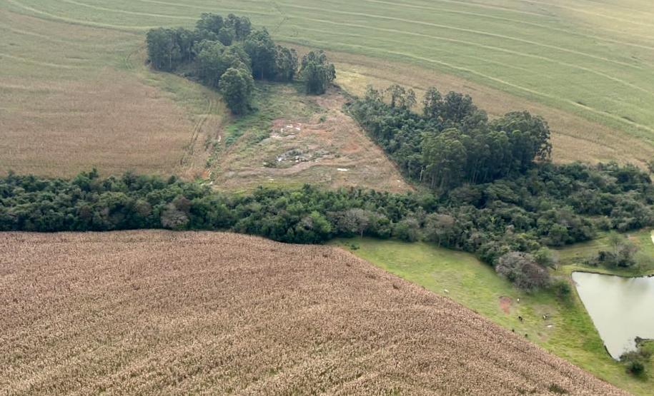 Operação do IAT identifica 17 hectares de desmatamento ilegal na região Oeste