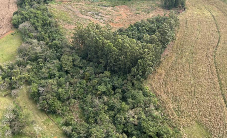 Operação do IAT identifica 17 hectares de desmatamento ilegal na região Oeste