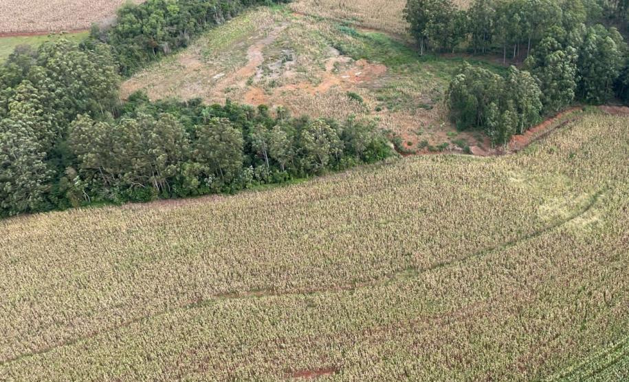 Operação do IAT identifica 17 hectares de desmatamento ilegal na região Oeste