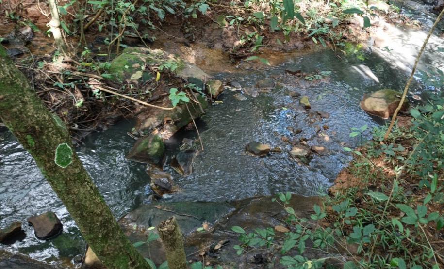 Foto de vegetação com dejetos