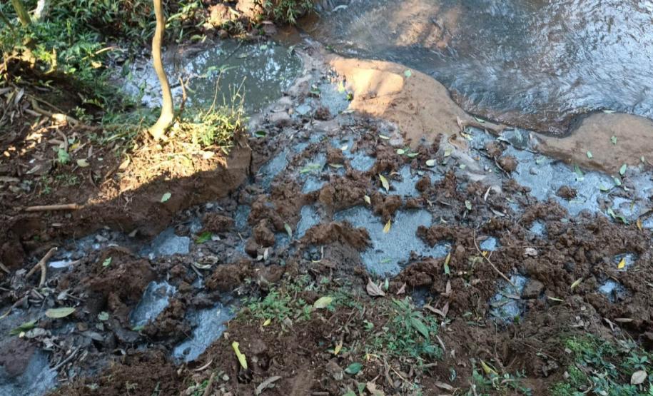 Foto de vegetação com dejetos