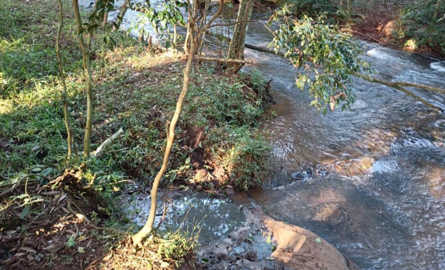Foto de vegetação com dejetos