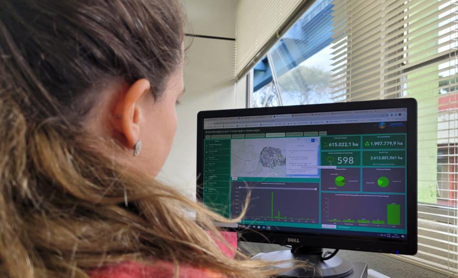 Foto de mulher acessando a plataforma no computador