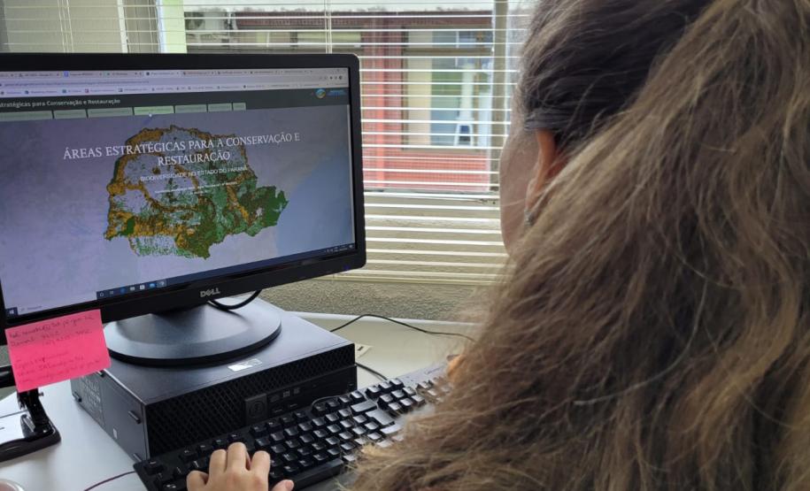 Foto de mulher acessando a plataforma no computador