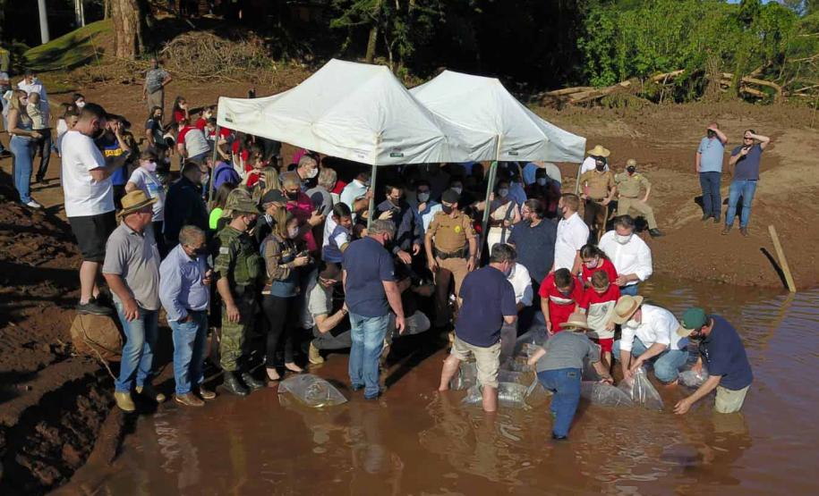 Programa Rio Vivo:Governo do Estado planeja repovoar os rios que cortam o Paraná com 10 milhões de peixes nativos até 2026