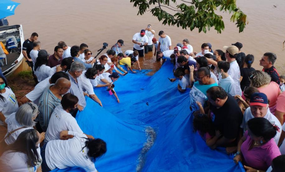 Programa Rio Vivo:Governo do Estado planeja repovoar os rios que cortam o Paraná com 10 milhões de peixes nativos até 2026