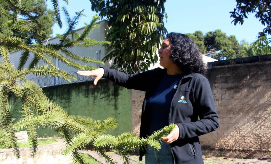 VITORIA FONSECA ENGENHEIRA FLORESTAL