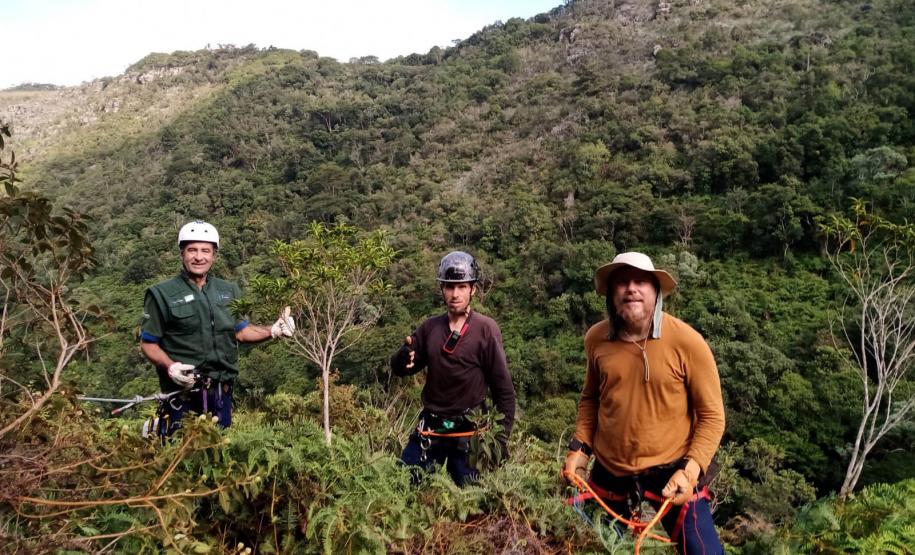 Dia do Voluntariado: IAT disponibiliza três programas para quem quer ajudar a cuidar do meio ambiente