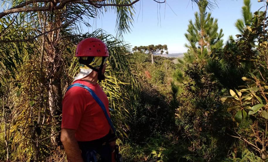 Dia do Voluntariado: IAT disponibiliza três programas para quem quer ajudar a cuidar do meio ambiente