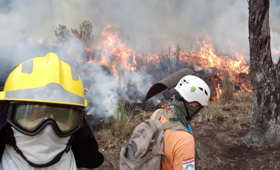 Curso de Capacitação em Brigadistas Civis Voluntários em Unidades de Conservação está com vagas abertas até 4 de agosto