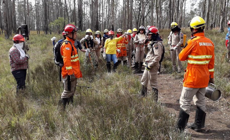 Curso de Capacitação em Brigadistas Civis Voluntários em Unidades de Conservação está com vagas abertas até 4 de agosto