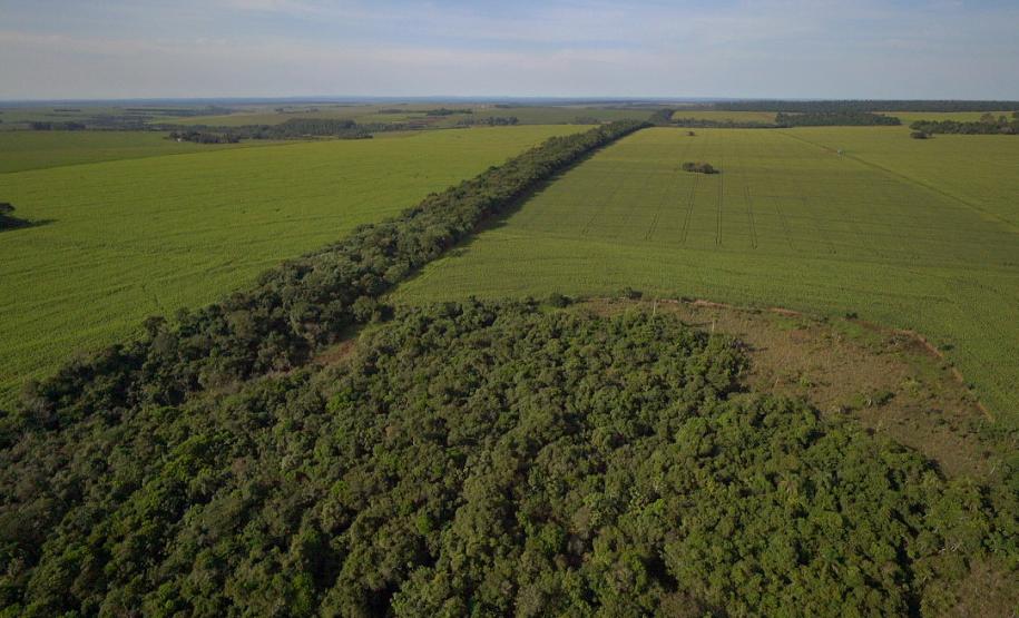 Foto de corredor verde