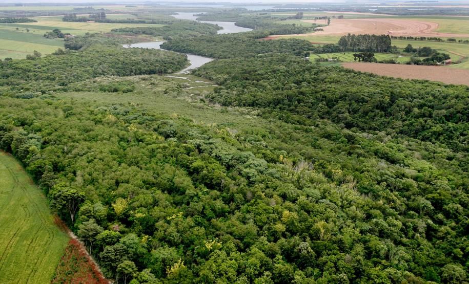 Foto de corredor verde