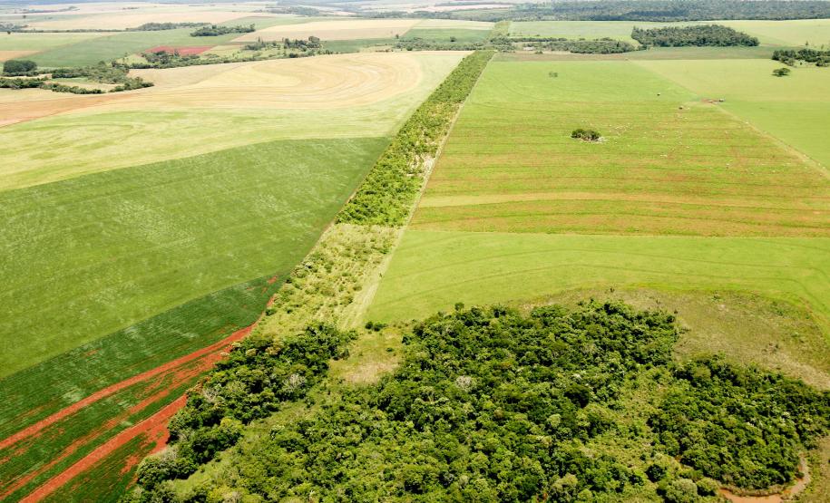 Foto de corredor verde