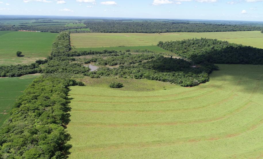 Foto de corredor verde