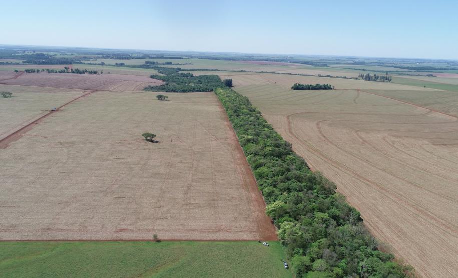 Foto de corredor verde